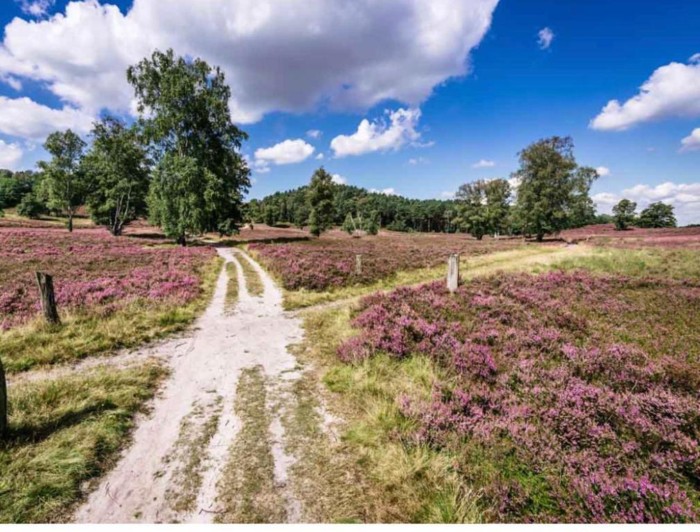 Feelslikehome - Reihenhaus Zwischen Hamburg Und Heide Mit Garten&Garage Neu Wulmstorf Kültér fotó